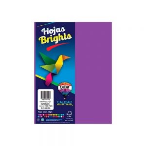 HOJA DE PAPEL DIEM BRIGHTS PAQUETE CON 100 PIEZAS MORADO INTENSO 27 NEON TAMAÑO CARTA 75 GRAMOS
