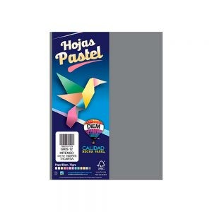 HOJA DE PAPEL DIEM PASTEL PAQUETE CON 100 PIEZAS GRIS INTENSO 12 TAMAÑO CARTA 75 GRAMOS