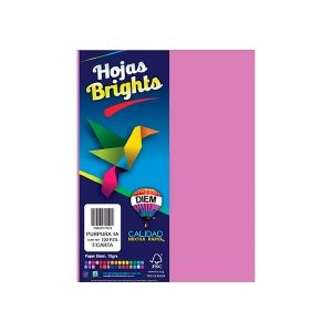 HOJA DE PAPEL DIEM BRIGHTS PAQUETE CON 100 PIEZAS PURPURA 1A TAMAÑO CARTA