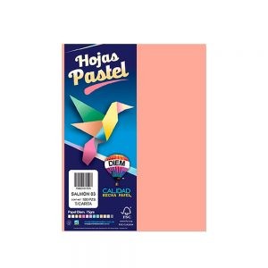HOJA DE PAPEL DIEM PASTEL PAQUETE CON 100 PIEZAS SALMON 03 TAMAÑO CARTA 75 GRAMOS